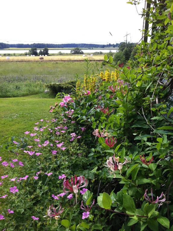 Nya Strandgardens Waerdshus Kristinehamn Exterior photo