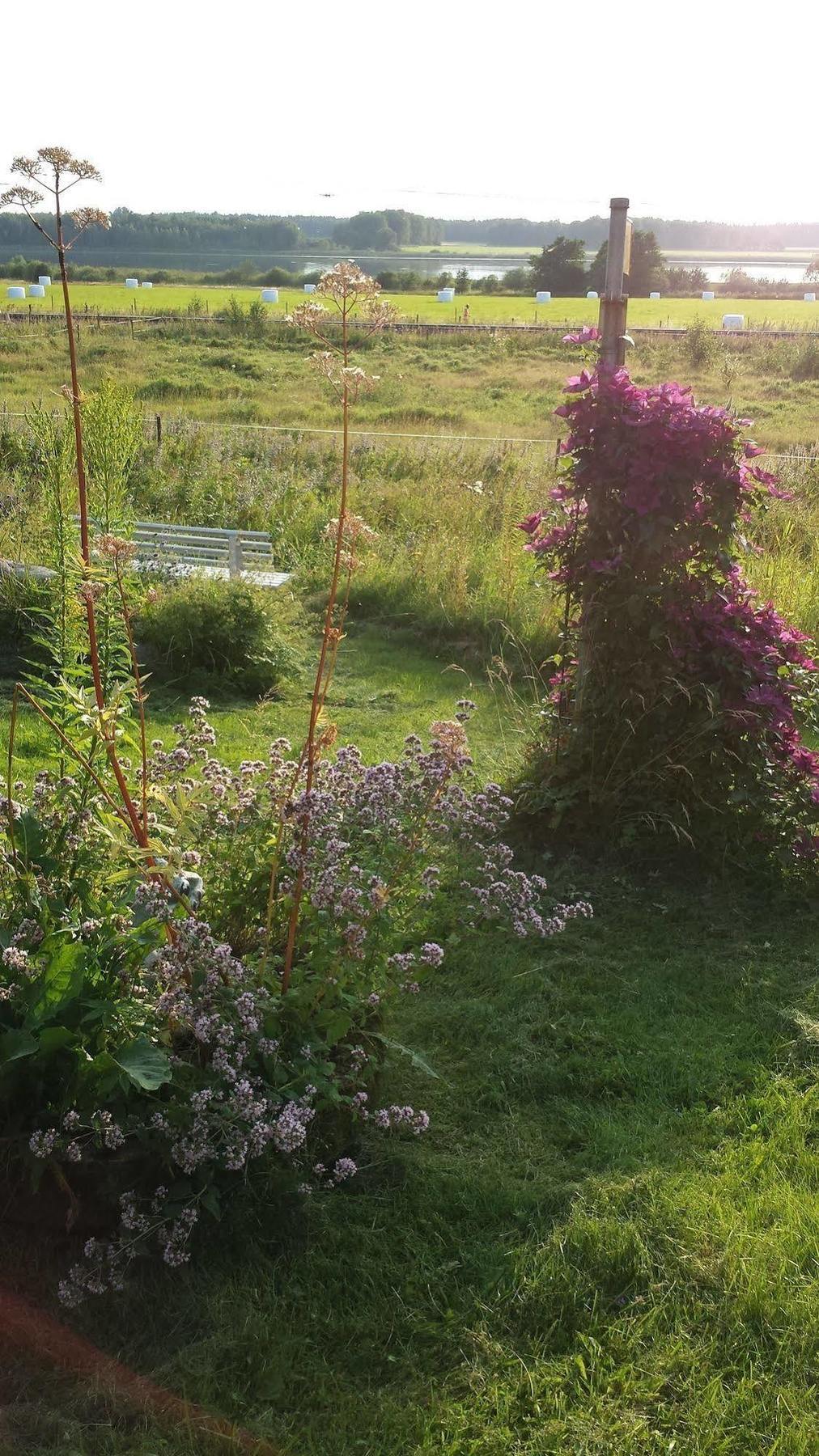 Nya Strandgardens Waerdshus Kristinehamn Exterior photo